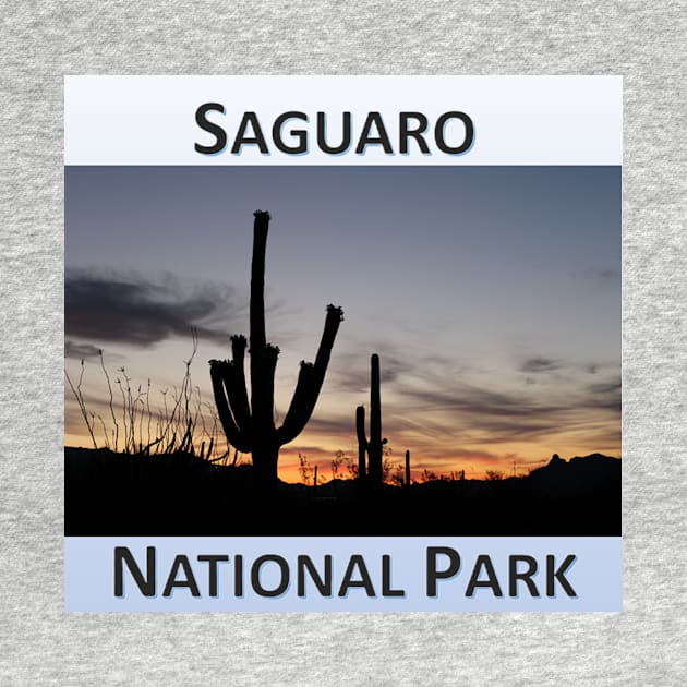 Saguaro National Park Sunrise by Battlefoxx Living Earth